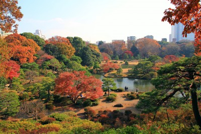 Bunkyo_Rikugien_Panoramic_View_In_Late_Autumn_1